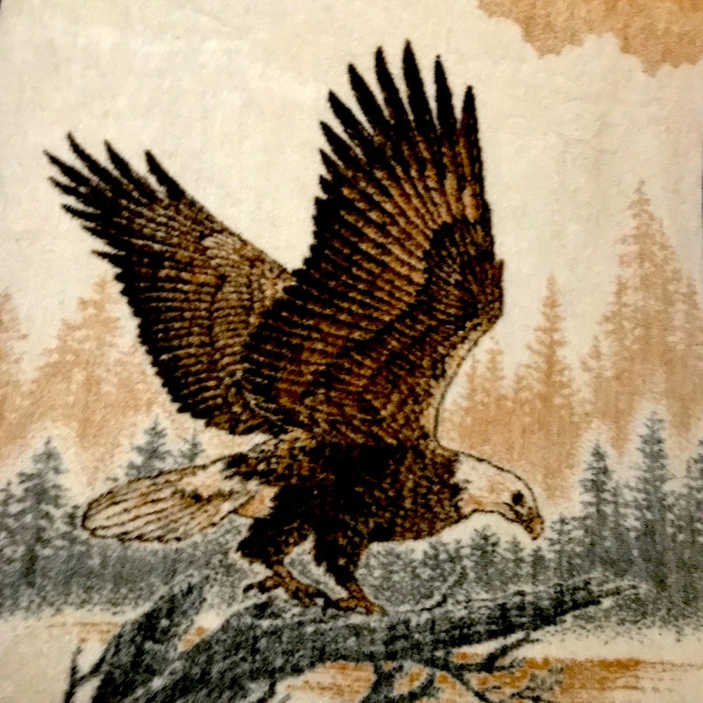VTG Biederlack Launching Eagle Blanket-Reversible